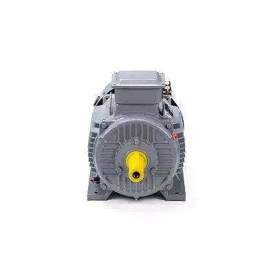 Эл.двигатель ESQ PR 160 M2 GST-Б1-S12-IE2 18.5/3000 IM 1001