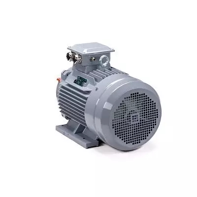 Эл.двигатель ESQ PR 160 M2 GST-Б1-S12-IE2 18.5/3000 IM 1001