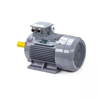 Эл.двигатель ESQ PR 112 М2 GST-Б1-S12-IE2 7.6/3000 IM 1081