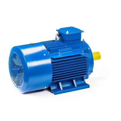 Эл.двигатель 5АИ 225 М2 55/3000 IM 1001