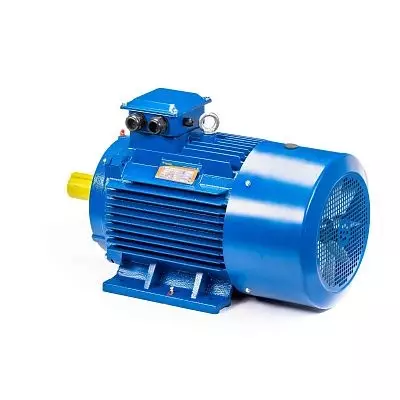Эл.двигатель 5АИ 225 М2 55/3000 IM 1001