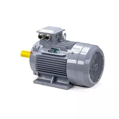 Эл.двигатель ESQ PR 160 S4 GST-Б1-S12-IE2 15/1500 IM 1001