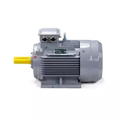 Эл.двигатель ESQ PR 160 S4 GST-Б1-S12-IE2 15/1500 IM 1001