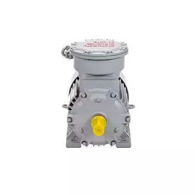 Эл.двигатель АИМУР 250 S2 У2,5 660/1140В, кл изоляции Н, PBExdI Mb, MK1-160 (статор), подшипники SKF, 76/3000 IM 1001