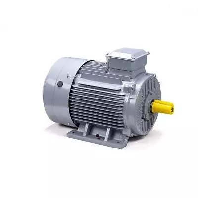 Эл.двигатель ESQ PR 180 S4 GST-Б1-S12-IE2 22/1500 IM 1001