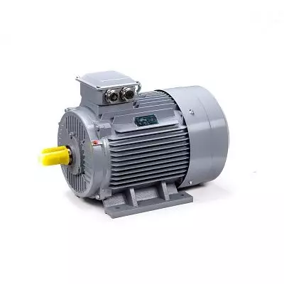 Эл.двигатель ESQ PR 180 S4 GST-Б1-S12-IE2 22/1500 IM 1001