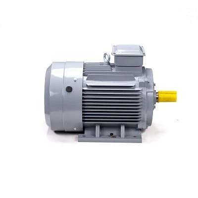Эл.двигатель ESQ PR 180 S2 GST-Б1-S12-IE2 22/3000 IM 1001
