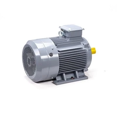 Эл.двигатель ESQ PR 180 S2 GST-Б1-S12-IE2 22/3000 IM 1001