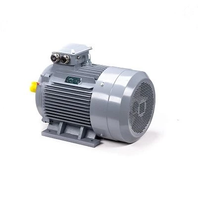 Эл.двигатель ESQ PR 180 S2 GST-Б1-S12-IE2 22/3000 IM 1001