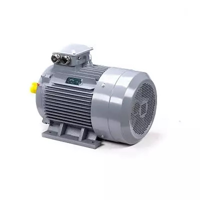 Эл.двигатель ESQ PR 180 S2 GST-Б1-S12-IE2 22/3000 IM 1001