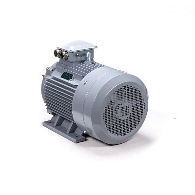 Эл.двигатель ESQ PR 180 S2 GST-Б1-S12-IE2 22/3000 IM 1001
