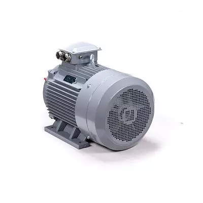 Эл.двигатель ESQ PR 180 S2 GST-Б1-S12-IE2 22/3000 IM 1001