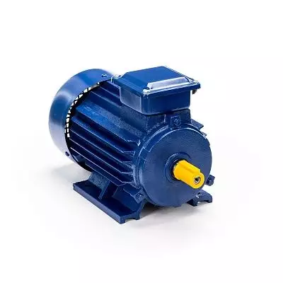 Эл.двигатель 5АИ 90 L2 3/3000 IM 1081