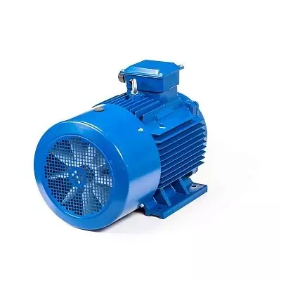 Эл.двигатель 5АИ 200 М2 37/3000 IM 1001