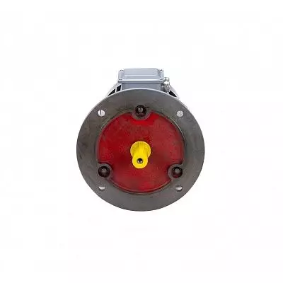 Эл.двигатель ESQ PR 100 L4 GST-Б1-S12-IE2 4/1500 IM 2081