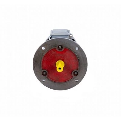 Эл.двигатель ESQ PR 100 S2 GST-Б1-S12-IE2 4/3000 IM 2081