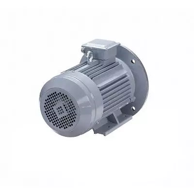 Эл.двигатель ESQ PR 100 S2 GST-Б1-S12-IE2 4/3000 IM 2081