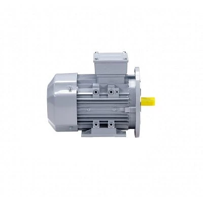 Эл.двигатель ESQ PR 180 M2-SDN-Б1-S12-IE2 22/3000 IM B35