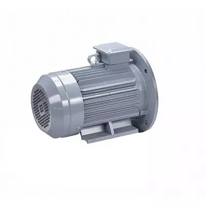 Эл.двигатель ESQ PR 100 S4 GST-Б1-S12-IE2 3/1500 IM 2081