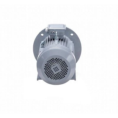 Эл.двигатель ESQ PR 100 S4 GST-Б1-S12-IE2 3/1500 IM 2081