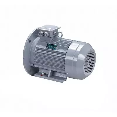 Эл.двигатель ESQ PR 100 S4 GST-Б1-S12-IE2 3/1500 IM 2081