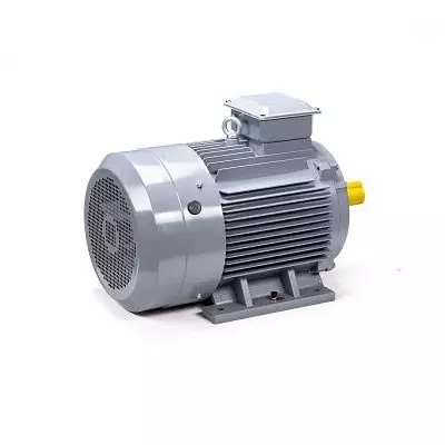 Эл.двигатель ESQ PR 180 M2 GST-Б1-S12-IE2 30/3000 IM 1001