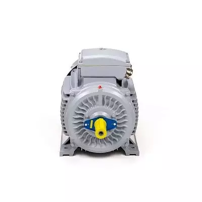 Эл.двигатель ESQ PR 225 M4-SDN-Б1-S12-IE3 45/1500 IM B3