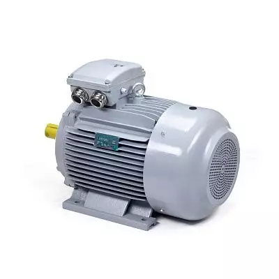 Эл.двигатель ESQ PR 225 M4-SDN-Б1-S12-IE3 45/1500 IM B3