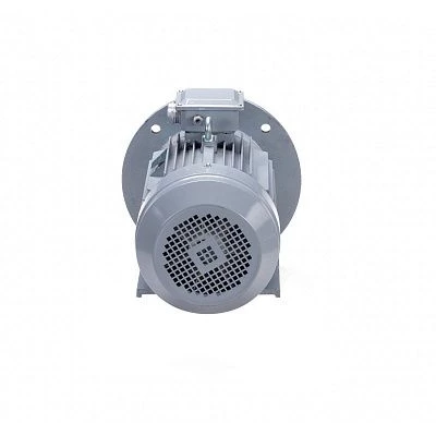 Эл.двигатель ESQ PR 225 M4 GST-Б1-S12-IE2 55/1500 IM 2001