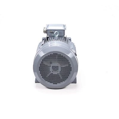 Эл.двигатель ESQ PR 250 M2 GST-Б1-S12-IE2 90/3000 IM 1001