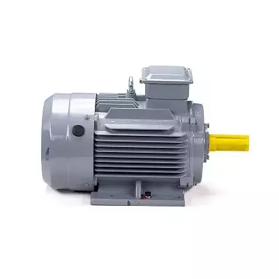 Эл.двигатель ESQ PR 112 MВ6 GST-Б1-S12-IE2 4/1000 IM 1081