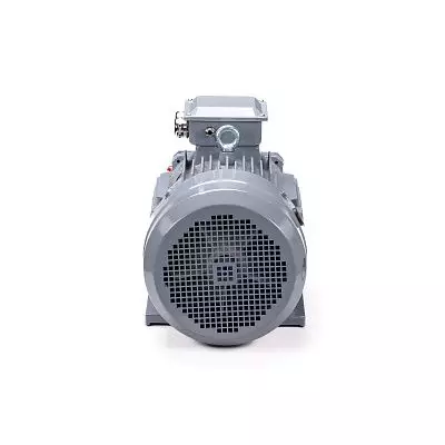 Эл.двигатель ESQ PR 112 MВ6 GST-Б1-S12-IE2 4/1000 IM 1081