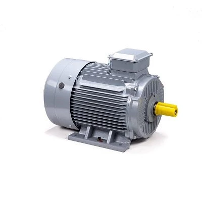 Эл.двигатель ESQ PR 200 M6 GST-Б1-S12-IE2 22/1000 IM 1001