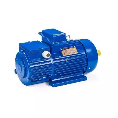 Эл.двигатель 5МТН 225 М8 30/723 IM 1003