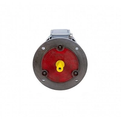 Эл.двигатель ESQ PR 200 L6 GST-Б1-S12-IE2 30/1000 IM 2001