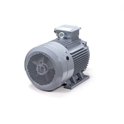 Эл.двигатель ESQ PR 200 M4 GST-Б1-S12-IE2 37/1500 IM 1001