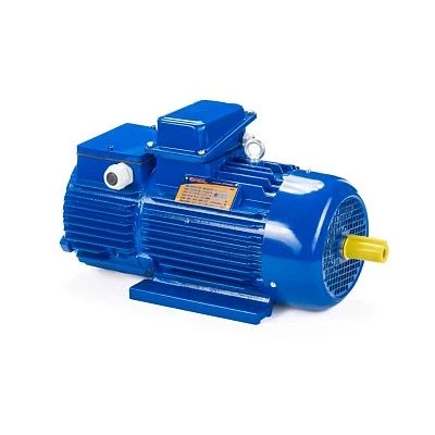 Эл.двигатель 5МТН 280 L10 75/600 IM 1004