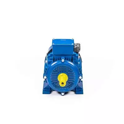 Эл.двигатель 5АИ 100 L2 5.5/3000 IM 1082