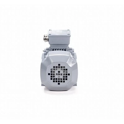 Эл.двигатель ESQ PR 80 A4-SDN-Б1-S12-IE2 0.55/1500 IM B3