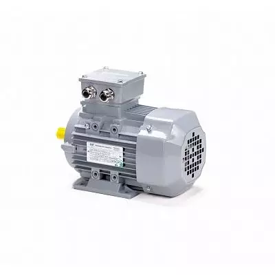 Эл.двигатель ESQ PR 80 A4-SDN-Б1-S12-IE2 0.55/1500 IM B3