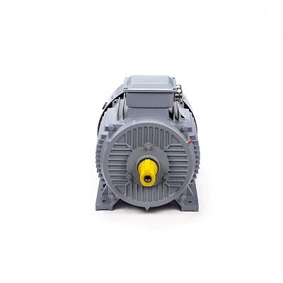 Эл.двигатель ESQ PR 280 S6 GST-Б1-S12-IE2 75/1000 IM 1001