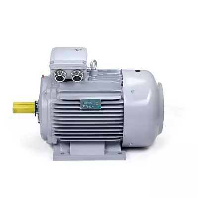 Эл.двигатель ESQ PR 225 M6-SDN-Б1-S12-IE2 30/1000 IM B3