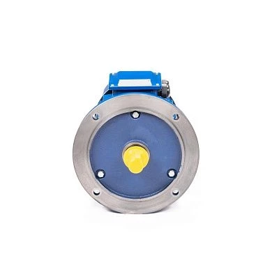 Эл.двигатель 5АИ 100 L4 ET 4/1500 IM 2081