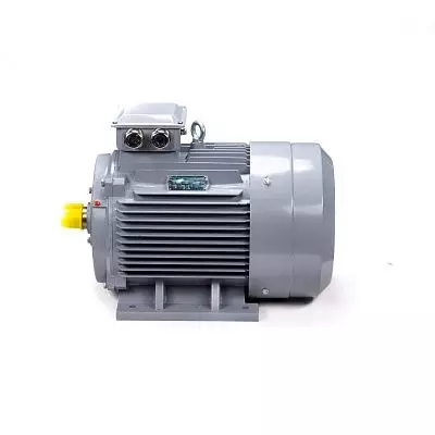 Эл.двигатель ESQ PR 315 S6 GST-Б1-S12-IE2 110/1000 IM 1001