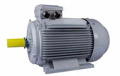 Эл.двигатель ESQ PR 315 LA6-SDN-Б1-S12-IE3 110/1000 IM B3