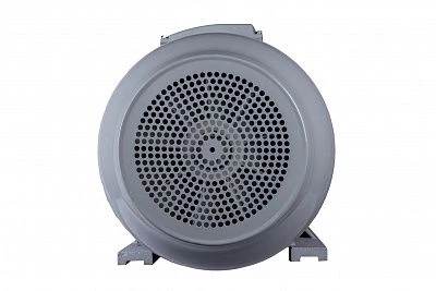 Эл.двигатель ESQ PR 315 LA6-SDN-Б1-S12-IE3 110/1000 IM B3