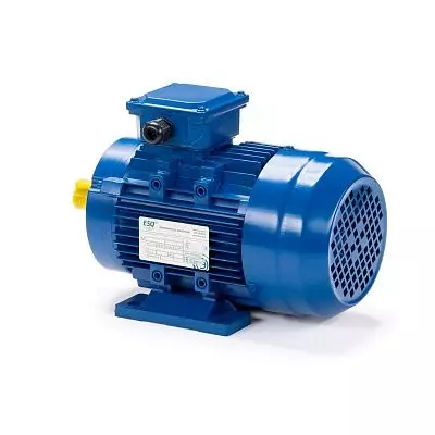 Эл.двигатель 5АИ 160 М6-ЕТ 15/1000 IM 2001