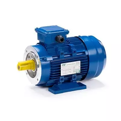 Эл.двигатель 5АИ 160 М6-ЕТ 15/1000 IM 2001