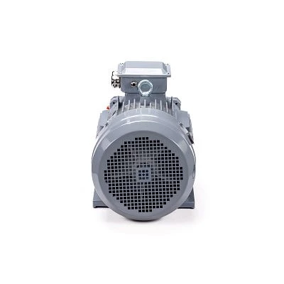 Эл.двигатель ESQ PR 132 M2 GST-Б1-S12-IE2 11/3000 IM 1081
