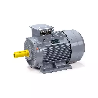 Эл.двигатель ESQ PR 132 M4 GST-Б1-S12-IE2 11/1500 IM 1081
